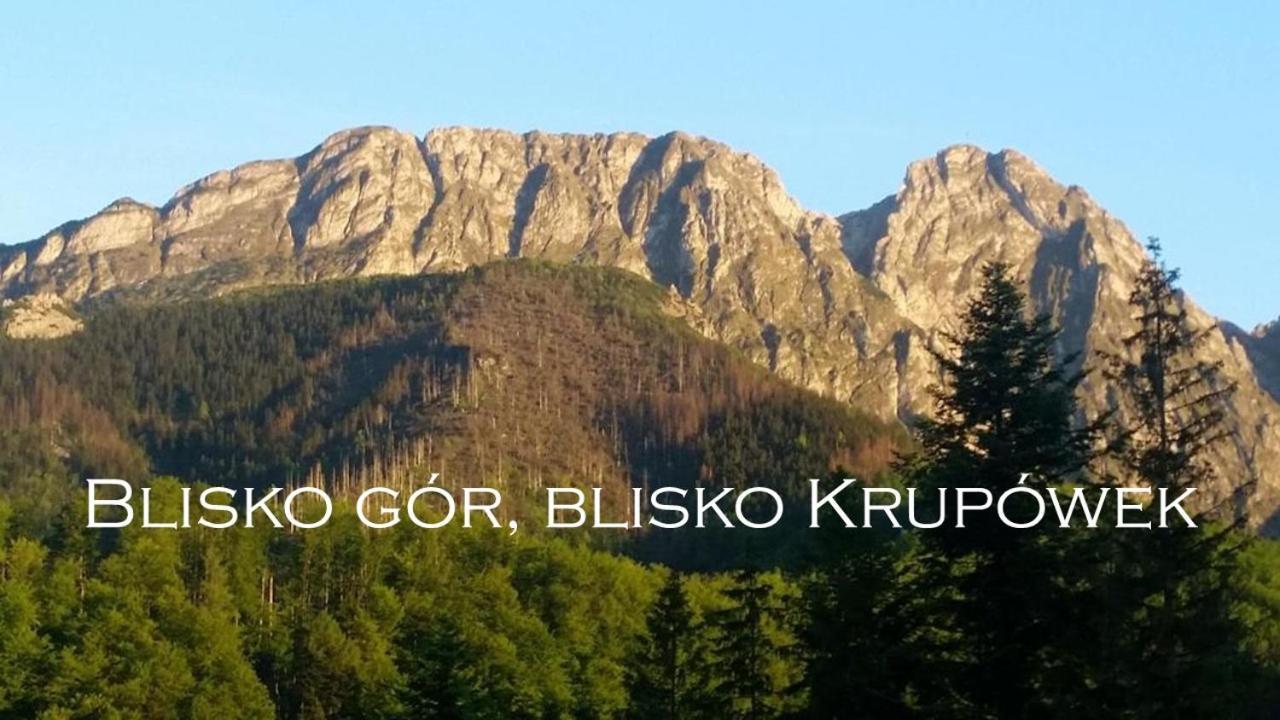 Willa Otulina Pod Giewontem Zakopane Buitenkant foto