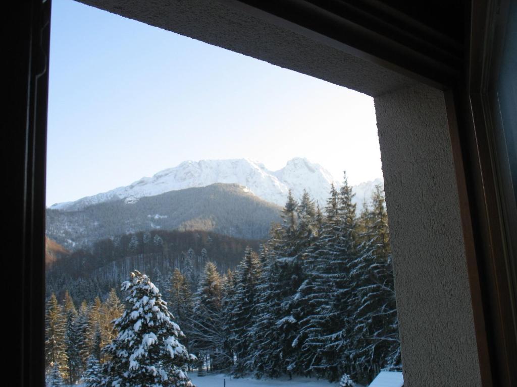 Willa Otulina Pod Giewontem Zakopane Kamer foto